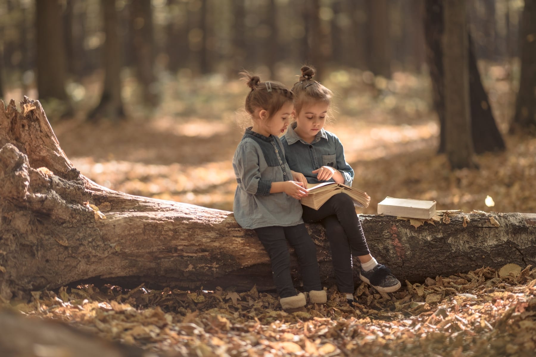 Dos niñas leen juntas en el bosque