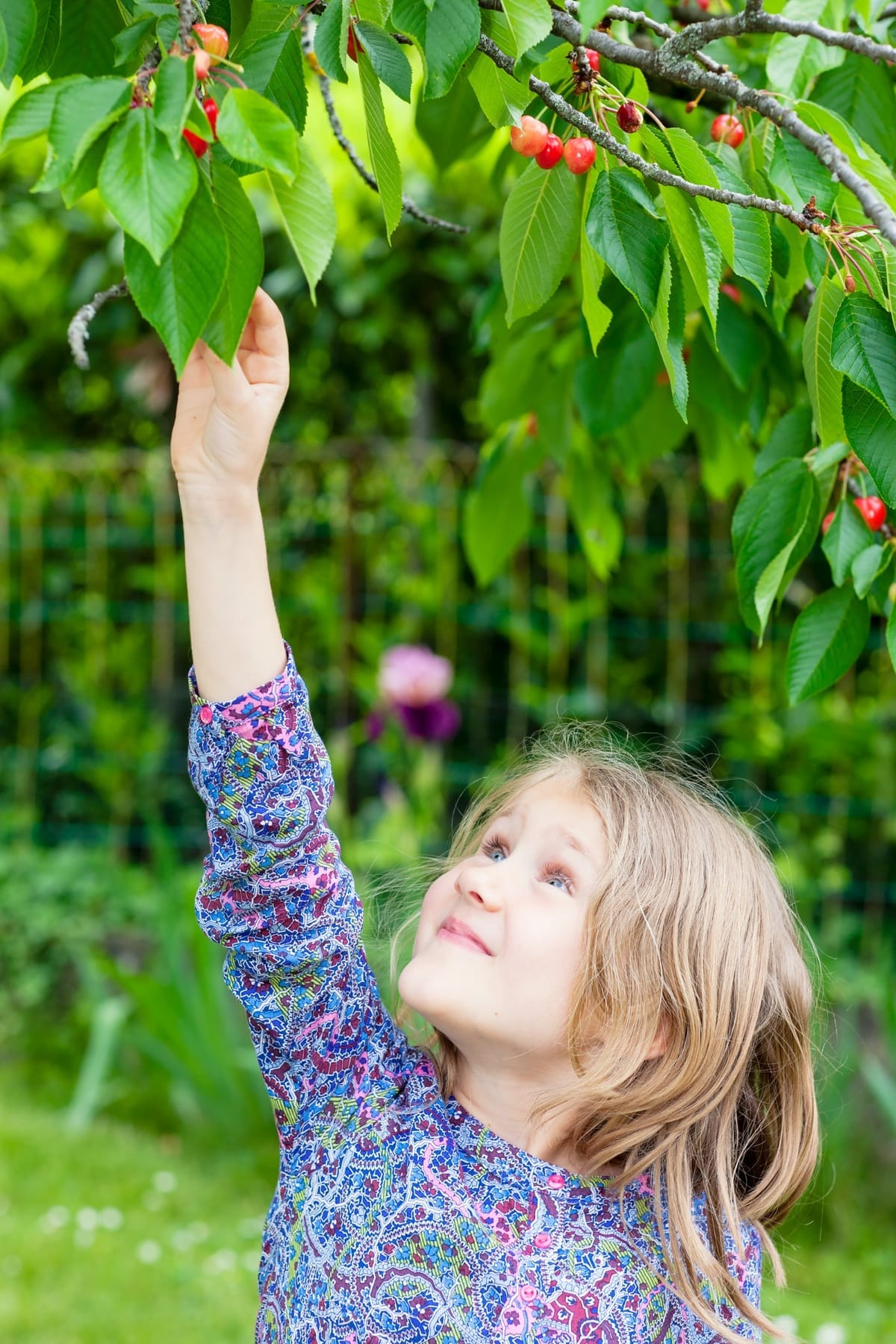 Una niña observa y recoge frutos del entorno