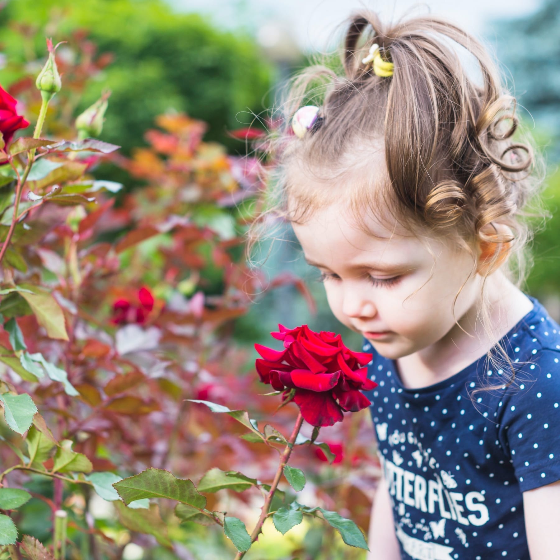 Una niña observa una flor con atención